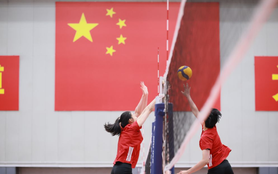 专业化买球网站与应用深度剖析
